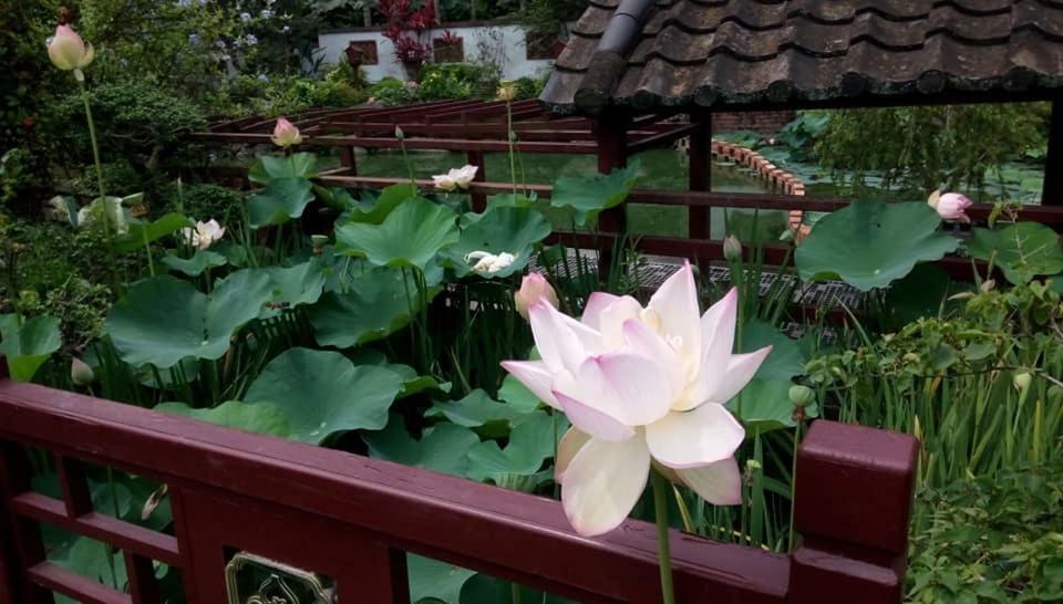 Chinese garden houses Appartement Pingtung Buitenkant foto